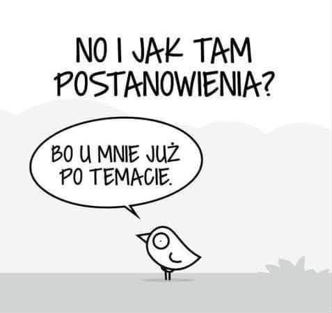 Ptaszek Staszek i postanowienia noworoczne